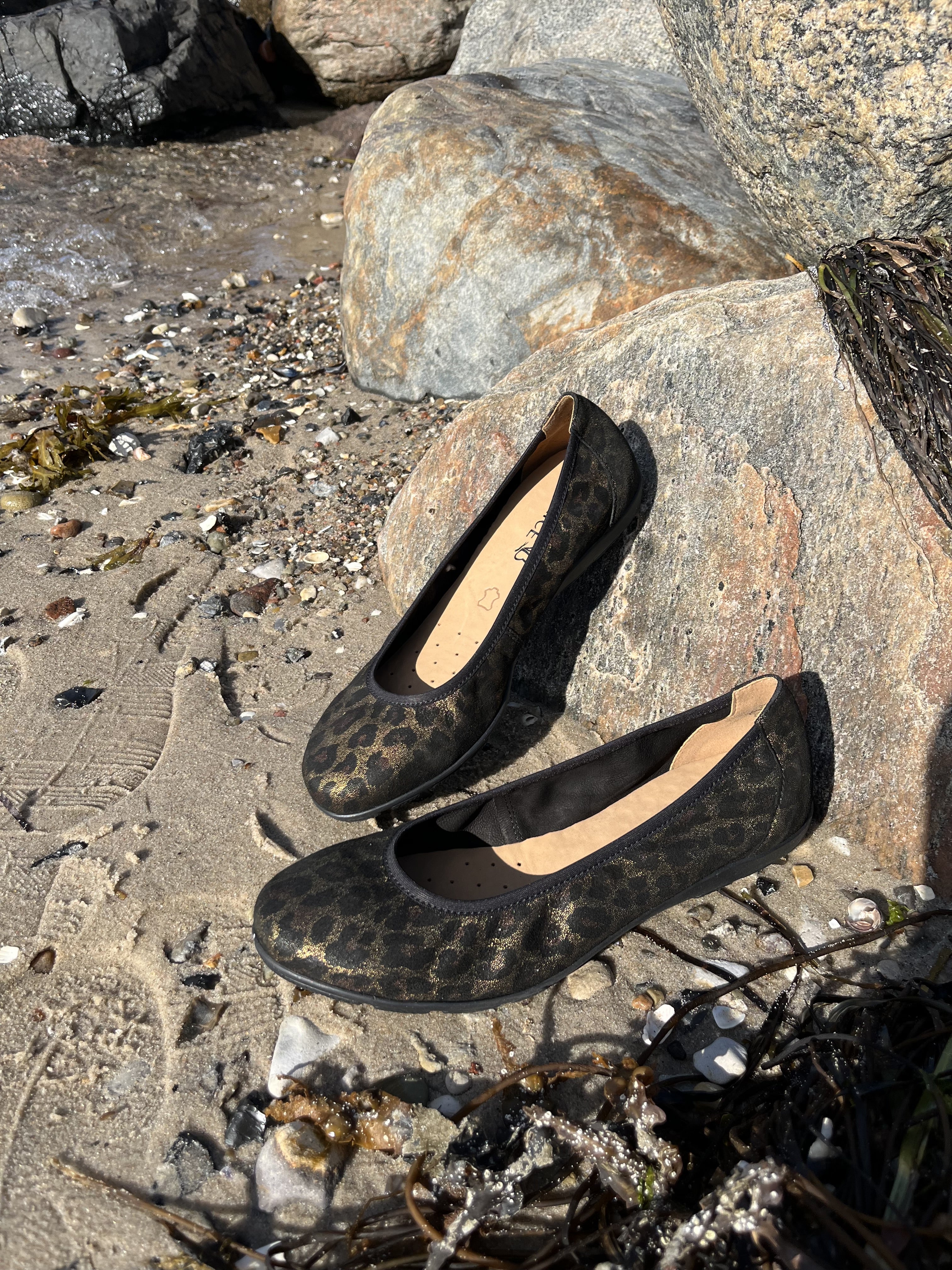 Caprice - Leopard ballerina